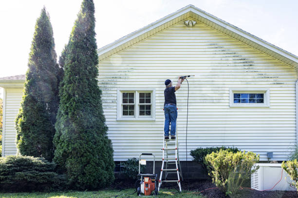 Best Rust and Stain Removal in West Alexandria, OH